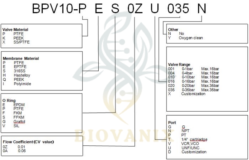 BPV-10 | BioVanix